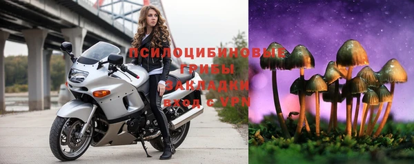 бошки Аркадак